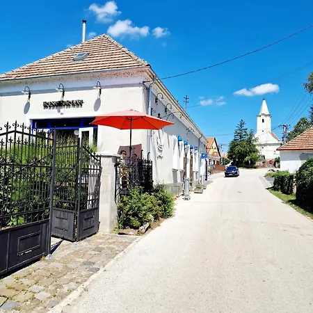 Kali Cool * Káptalantóti